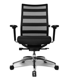 Ergomedic Ergonomic Chair