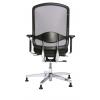 Alumedic 10 Ergonomic Task Chair Back View Polymide Back Support